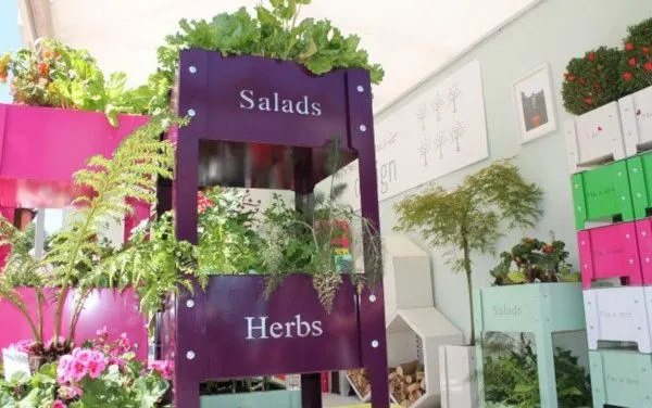 Containers for Urban Gardening | Types of Growing Containers