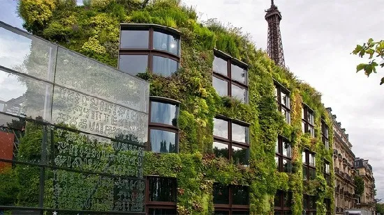 Vertical Gardens: Prices, Types and Benefits of Vertical Gardens