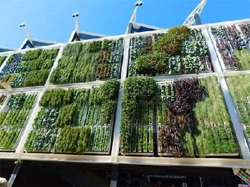 Vertical Gardens: Prices, Types and Benefits of Vertical Gardens