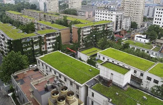 Green Roofs and Vertical Gardens. What are they and what are their benefits?