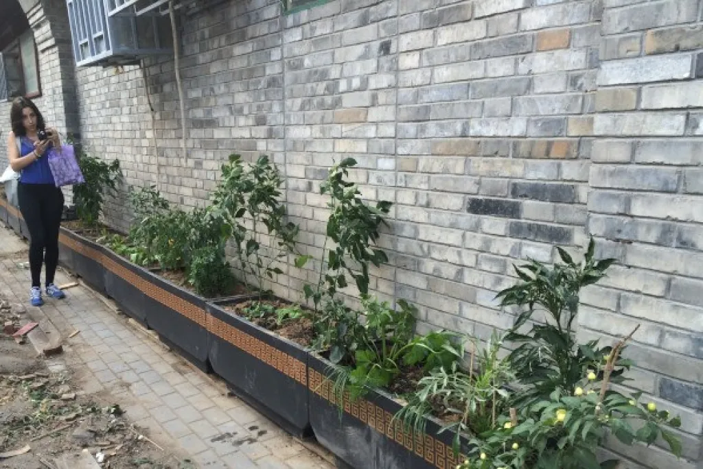 Urban agriculture in China: why is it necessary?