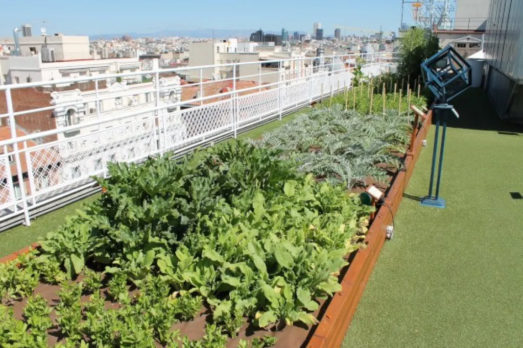 Rooftop gardens: 7 types of urban gardens on buildings