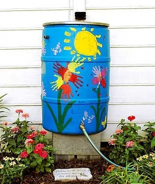 How to collect rainwater in the vegetable garden