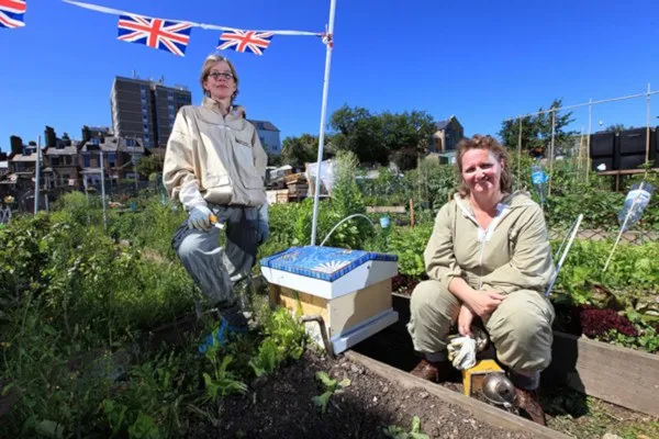 Garden and Urban Beekeeping