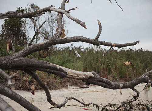 What are dead tree gases and why are they so dangerous?