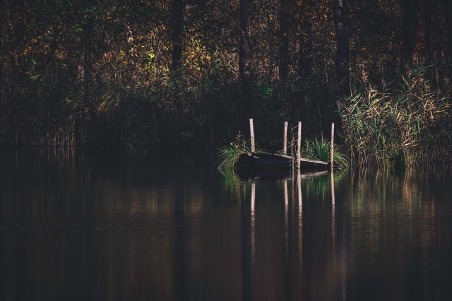 What are dead tree gases and why are they so dangerous?