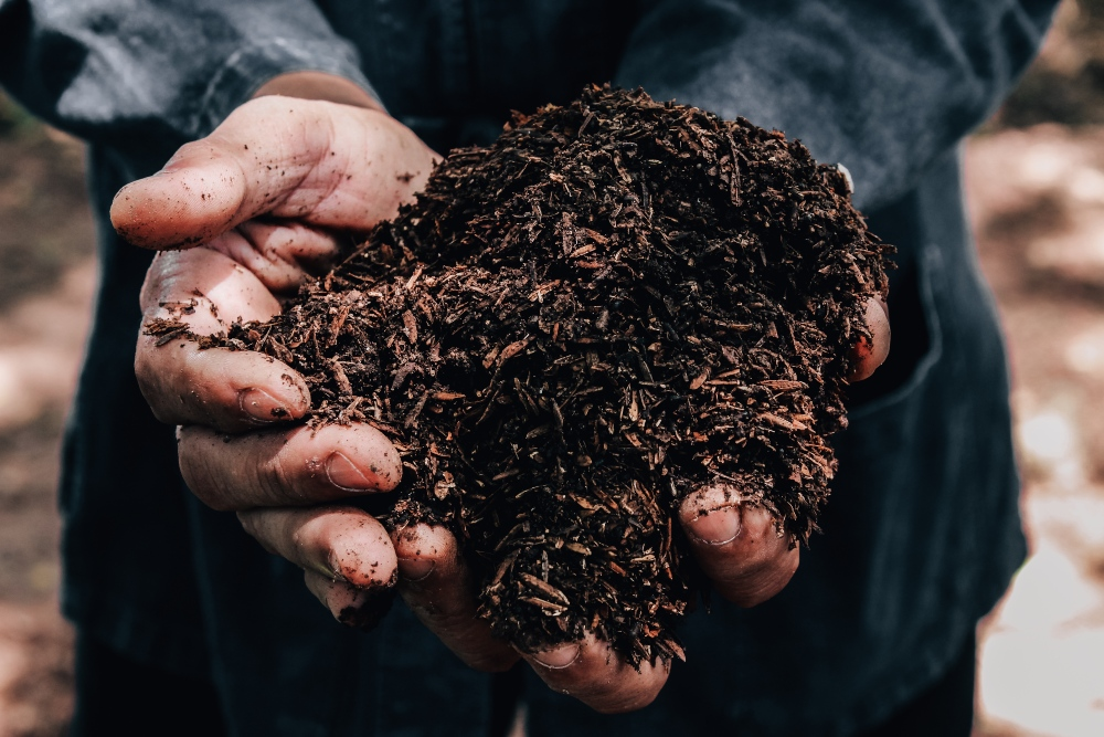 Can You Put Diseased Plants Into the Compost?