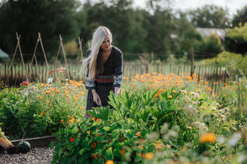 What kind of garden soil do I have? The 3 most important soil types at a glance