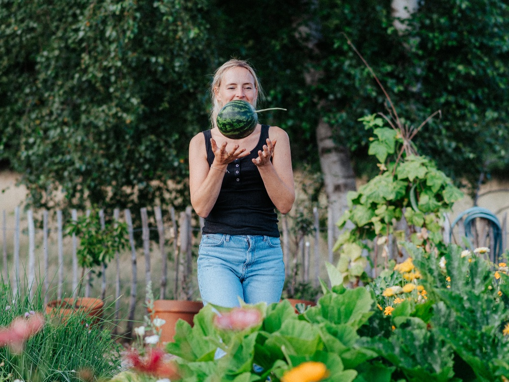 Planting watermelon: We show you how it's done!