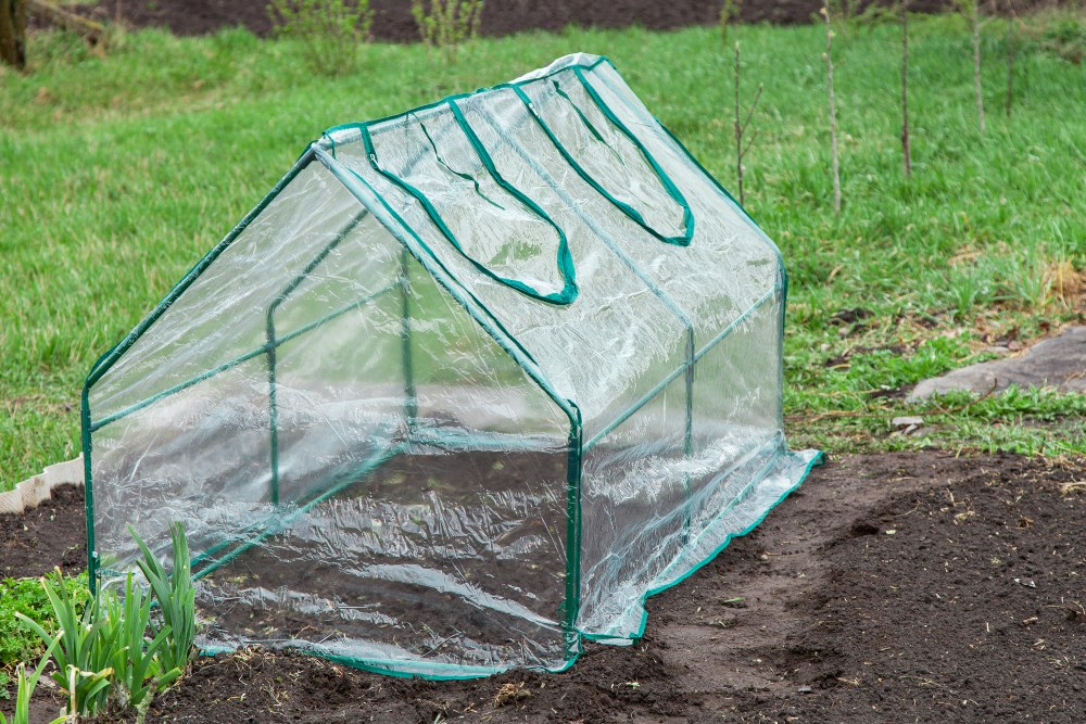 Gardening earlier with cold frames: This is how it works!