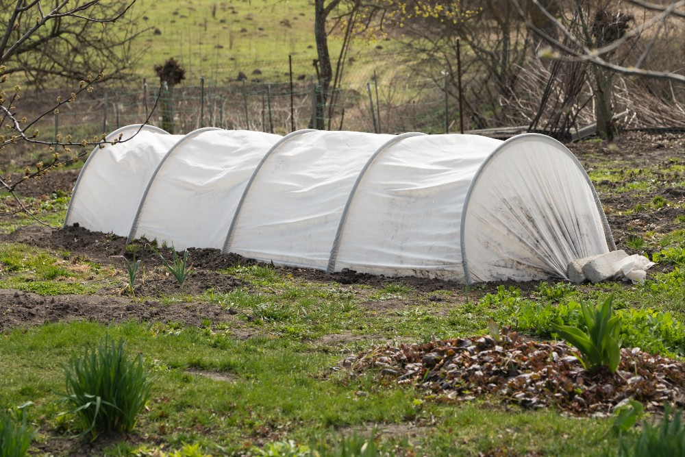 Gardening earlier with cold frames: This is how it works!