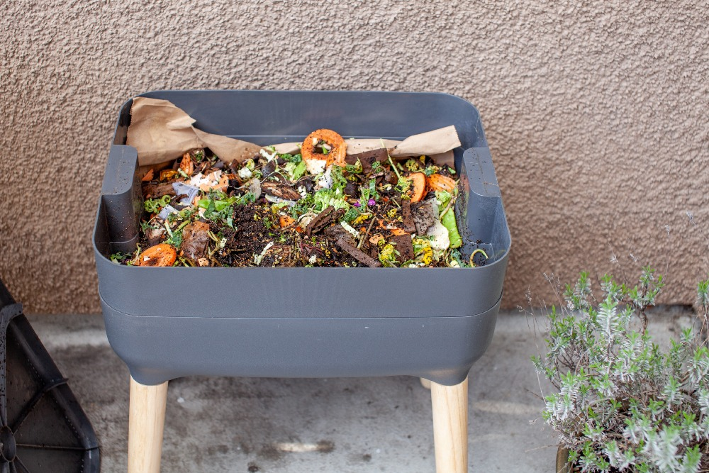 Indoor composting with Bokashi and the worm bin