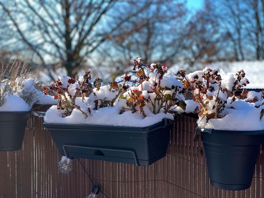 Winter hiding places in the garden: shelter for hedgehogs and insects