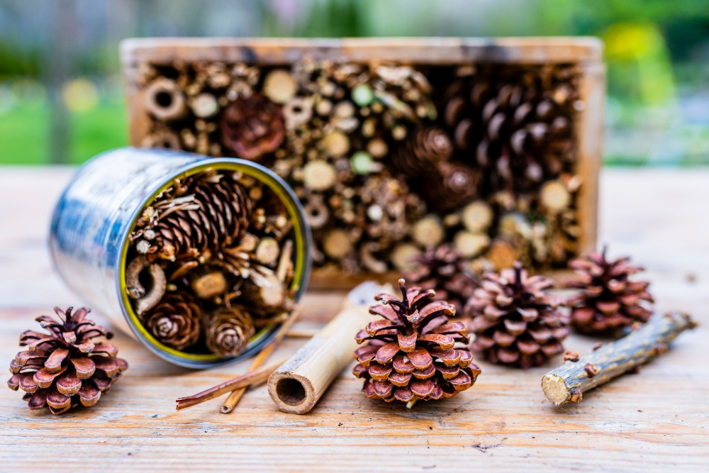 Winter hiding places in the garden: shelter for hedgehogs and insects