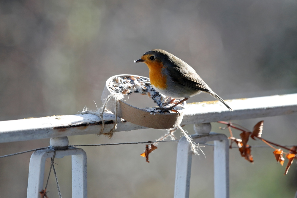 Fit for the winter: Prepare balcony & terrace properly