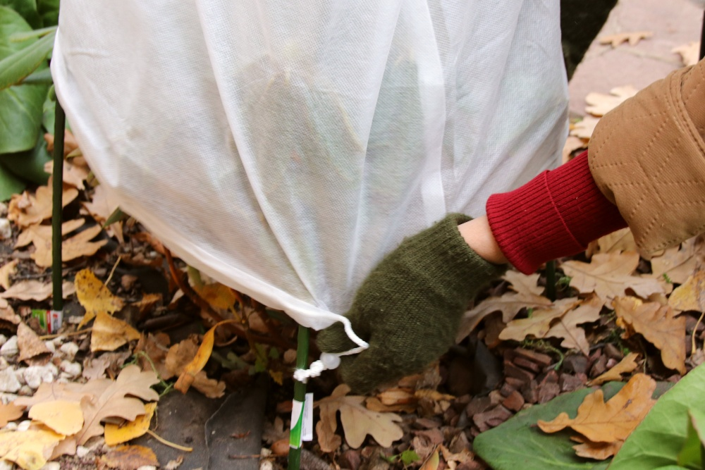 Fit for the winter: Prepare balcony & terrace properly