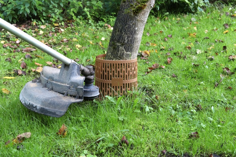 Mower Tree guard - a must for every garden