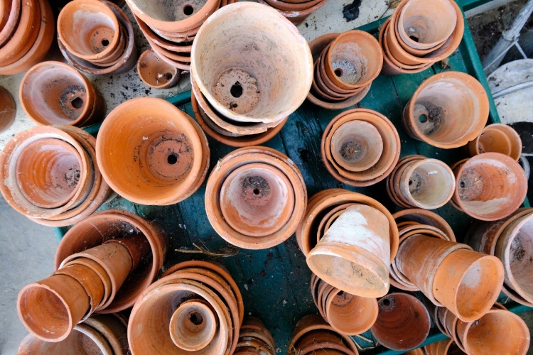 How to properly clean and care for terracotta pots