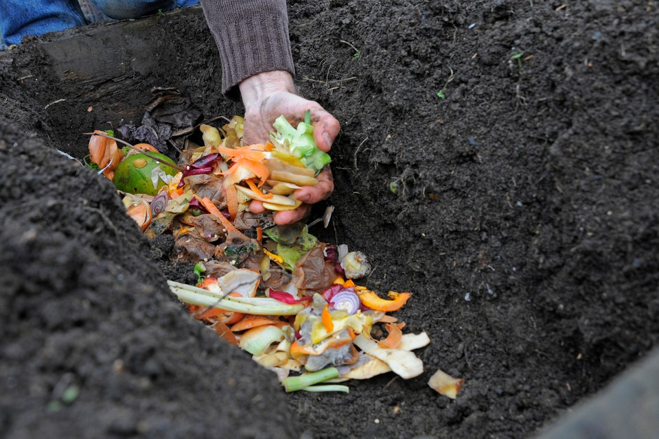Should compost be kept in sun or shade?