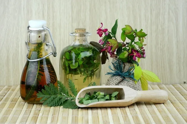 10 Natural Insecticides for Plants: Homemade Insecticide How to get rid of pests?