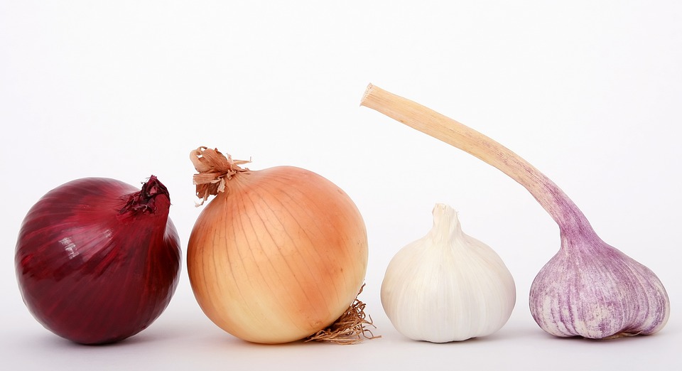 Is Onion Ok for Composting: Make the Most of Your Waste