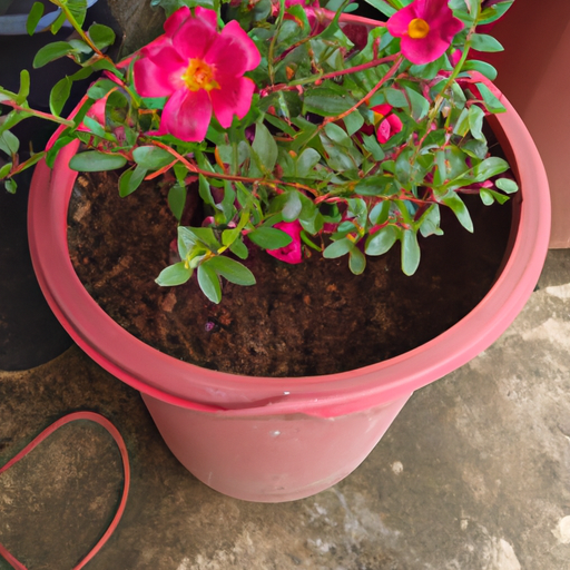 Gardening: Easy Flowers to Grow