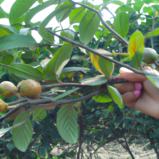 Gardening Tips: The Easiest Fruit Tree to Grow