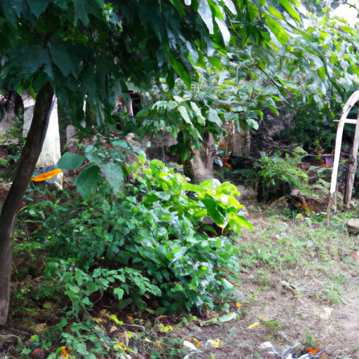 Gardening: Understanding the Characteristics of a Beautiful Garden