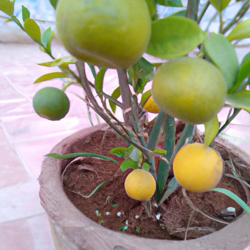 Gardening for Profit: The Most Profitable Fruits to Grow