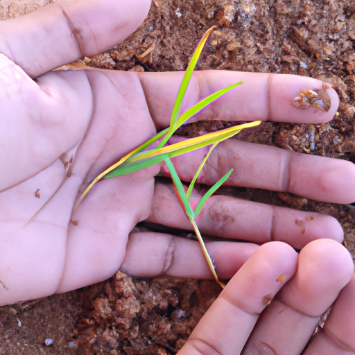 Gardening for the Poor: The Benefits of Growing a Poor Man's Crop