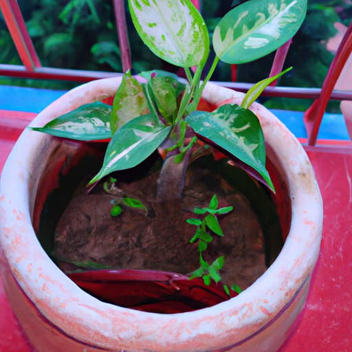 The Economics of Home Gardening: How to Make Gardening Economical