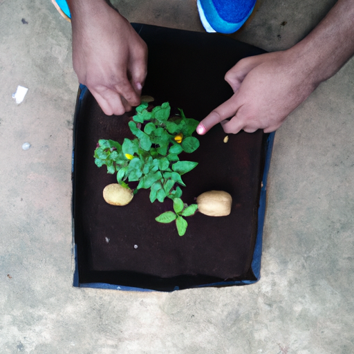 Gardening for Profit: The Easiest Crops to Sell