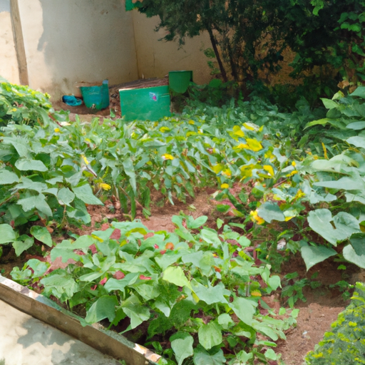 Gardening: What's the Most Expensive Crop to Grow?