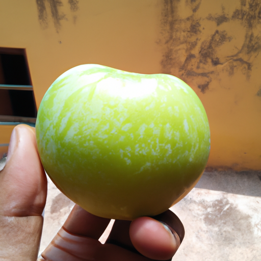 Gardening: The Poor Man's Apple - A Look at the Fruit of Frugality