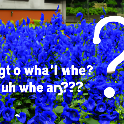 Gardening: How to Find Blue Flowers for Your Garden
