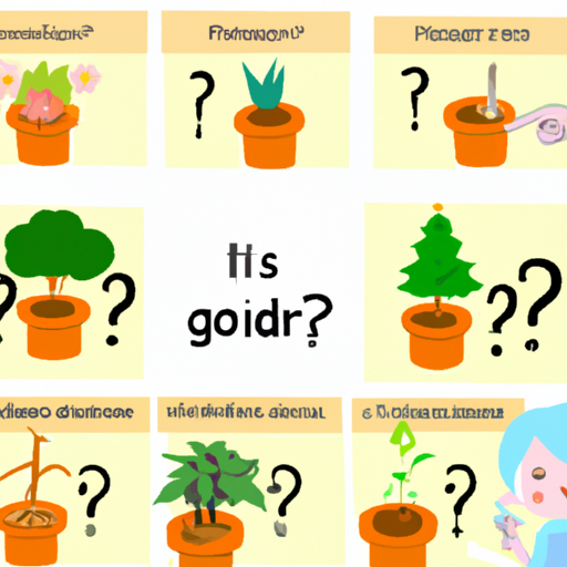 Gardening Made Easy: Which Plants Grow Easily?