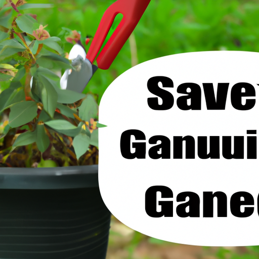 Gardening: An Easy Way to Save Money