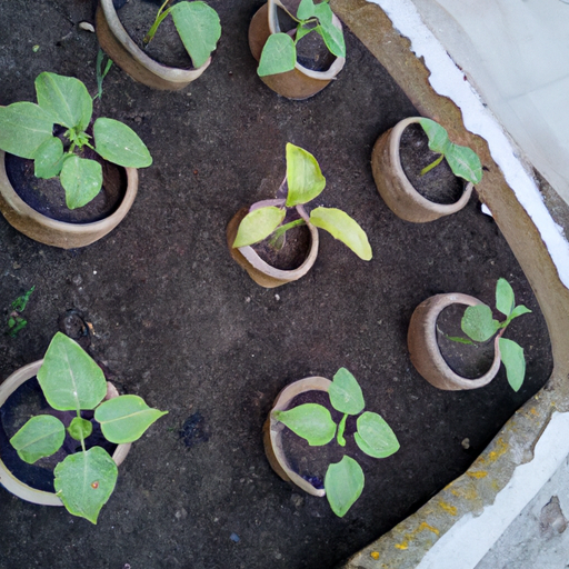 Gardening on a Budget: The Cheapest Crops to Grow