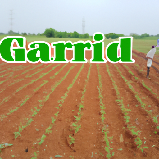 Gardening: The Most Profitable Part of Farming