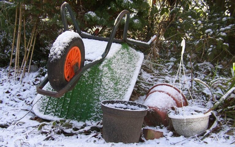 Can I Leave Compost Uncovered in Winter?