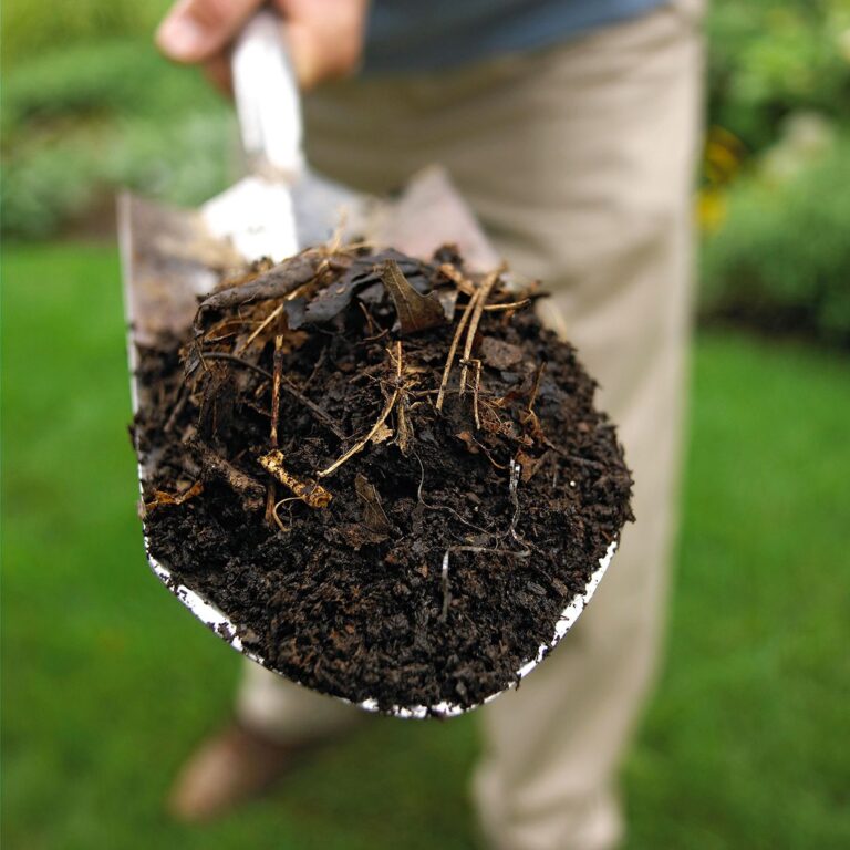 Should You Cover Your Compost?