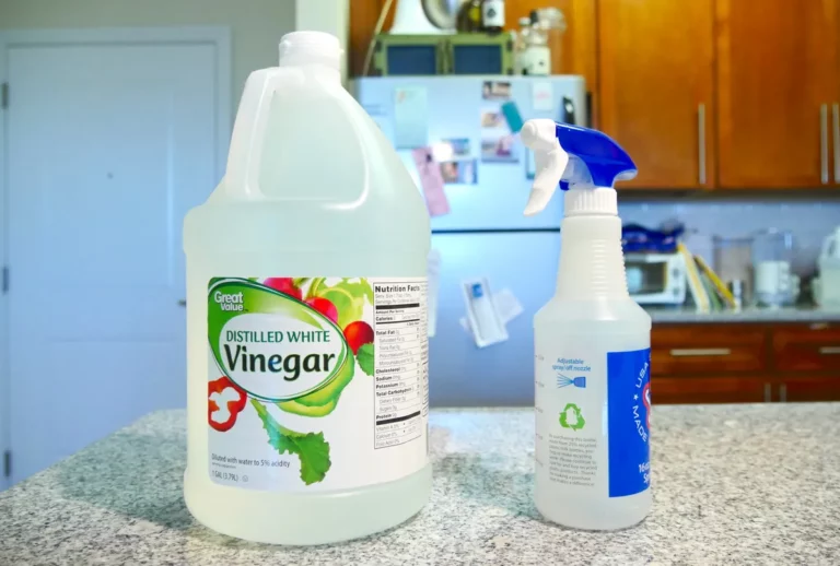 Vinegar: A Versatile Home Remedy for Your Garden - Here's How to Use It Properly