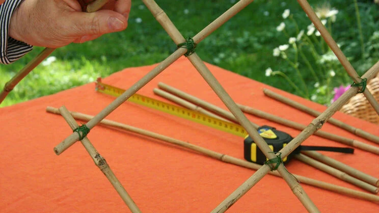 Support for Perennials: Building Your Own Plant Support Frame