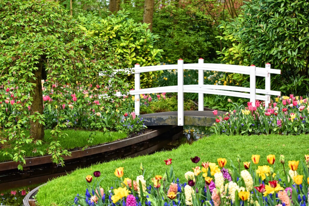 Garden planning by a professional landscape gardener - is it worth it?