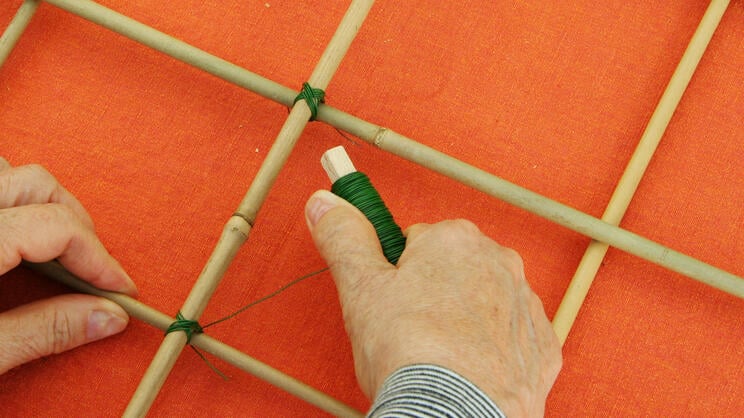 Support for Perennials: Building Your Own Plant Support Frame