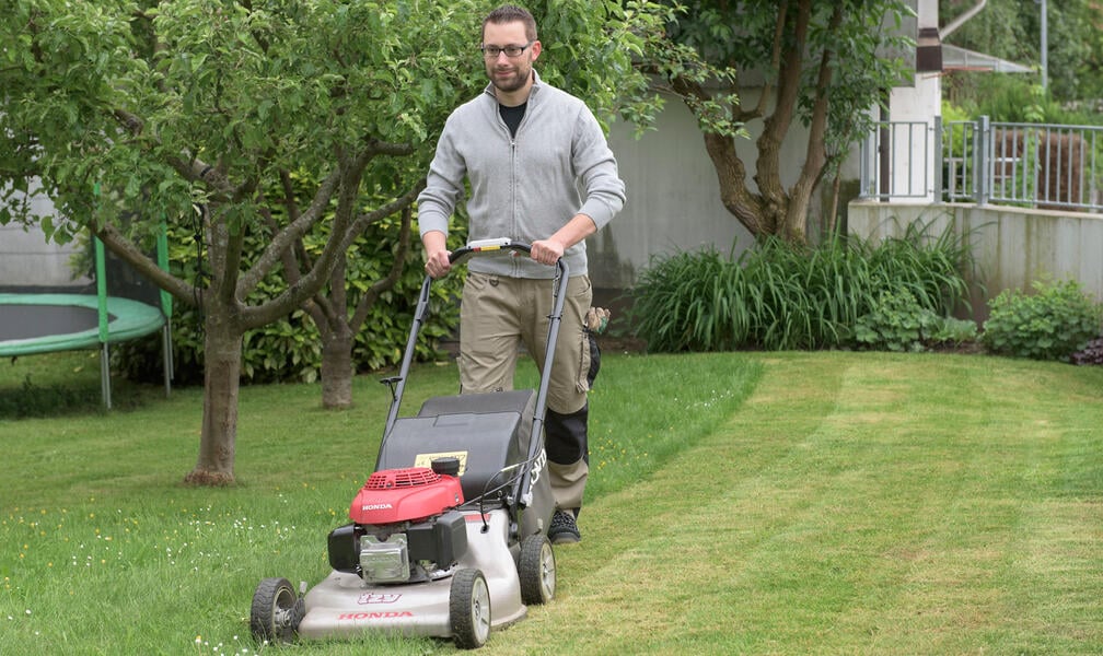 How to Renovate Your Lawn Without Digging Up