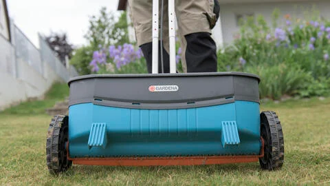 How to Renovate Your Lawn Without Digging Up
