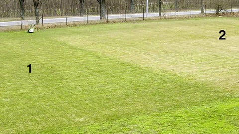 Mulch Mowing Saves Time and Money