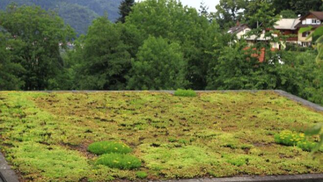 What is Green Roofing?