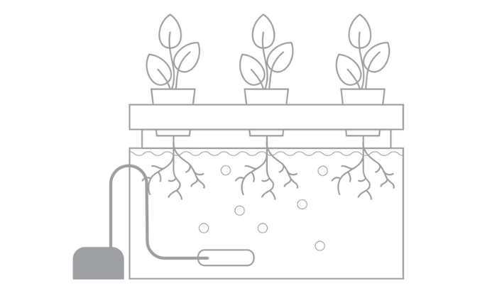 Das richtige Hydroponik-System für Ihre Bedürfnisse wählen